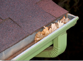 Gutter Cleaning