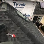 Skylight, roof & home wrap