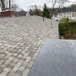 Flat roofing & asphalt shingles