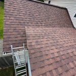 New Shingles